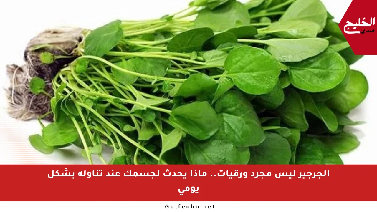 الجرجير ليس مجرد ورقيات.. ماذا يحدث لجسمك عند تناوله بشكل يومي